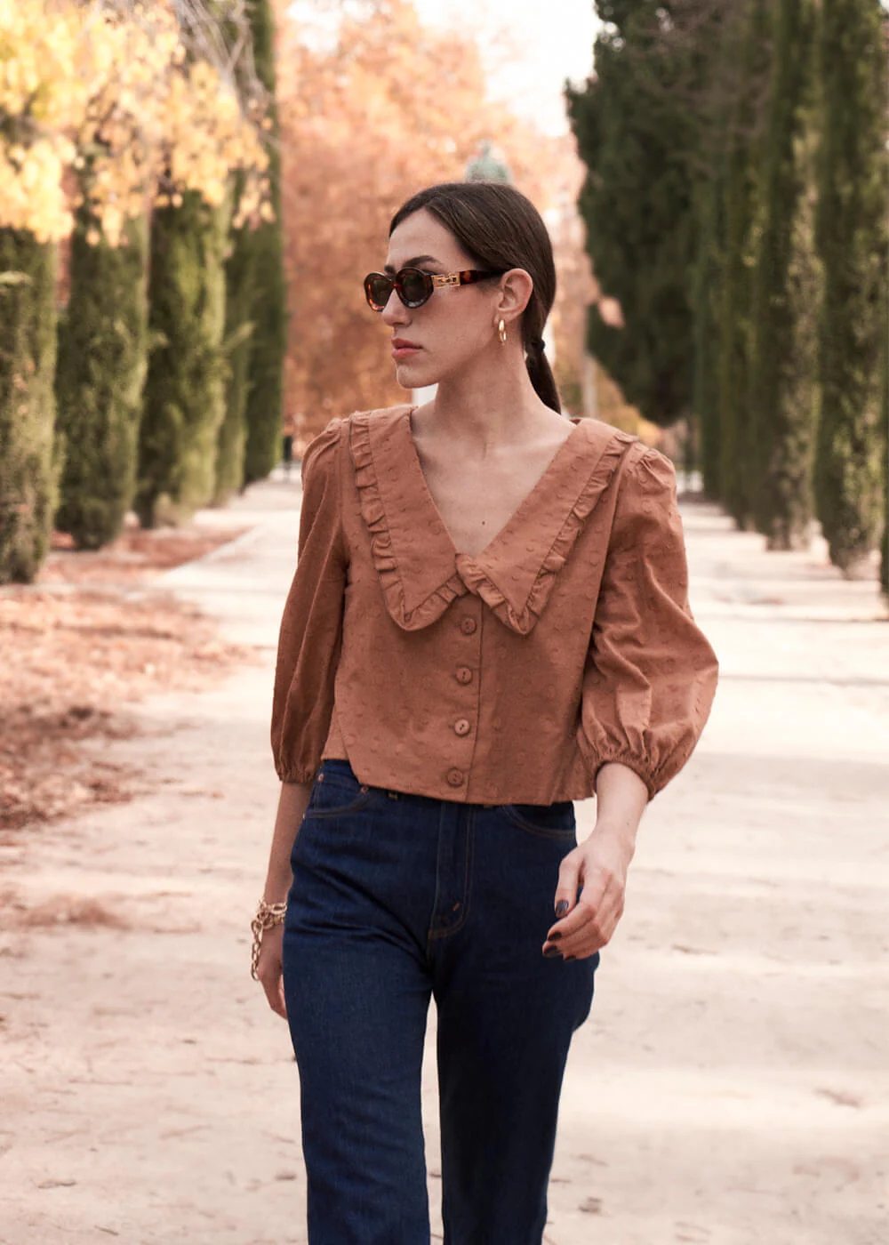 Blusa Collar marrón